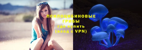 mix Бородино