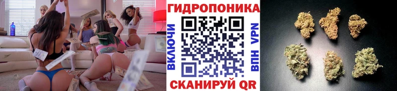 Конопля OG Kush  где найти наркотики  Щучье 